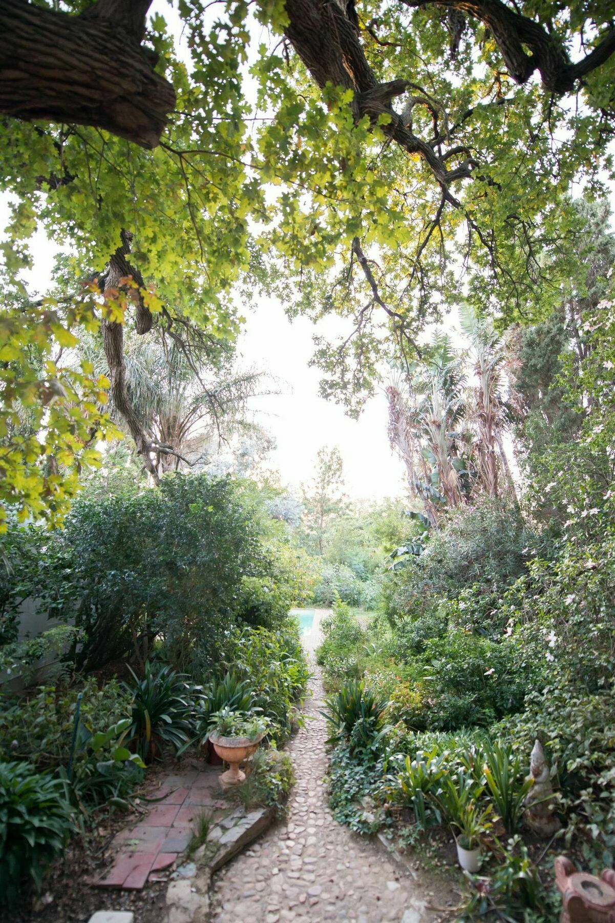 Tulbagh Country Guest House - Cape Dutch Quarters Екстер'єр фото